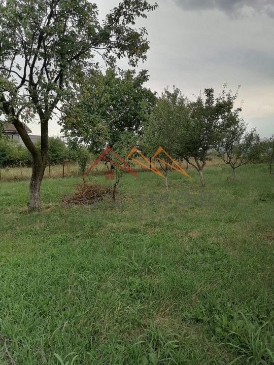 Casa rustica 3 camere, 4000 mp teren, cabana din lemn, pomi fructiferi - Poză 17