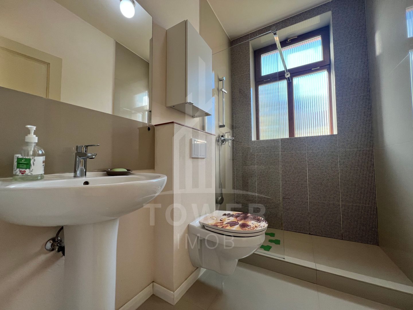 Apartament 3 camere la casă, curte proprie, Parcul Sub Arini - Poză 7