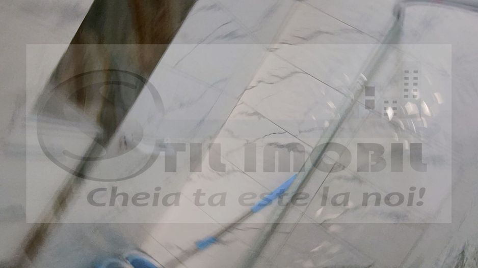 APARTAMENT ULTRACENTRAL , PIATA UNIRII, CUZA VODA 70 MP PLUS CURTE - Poză 41