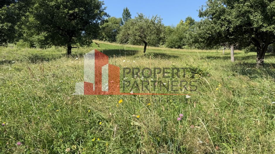 Teren Sohodol 5000 mp - Poză 8