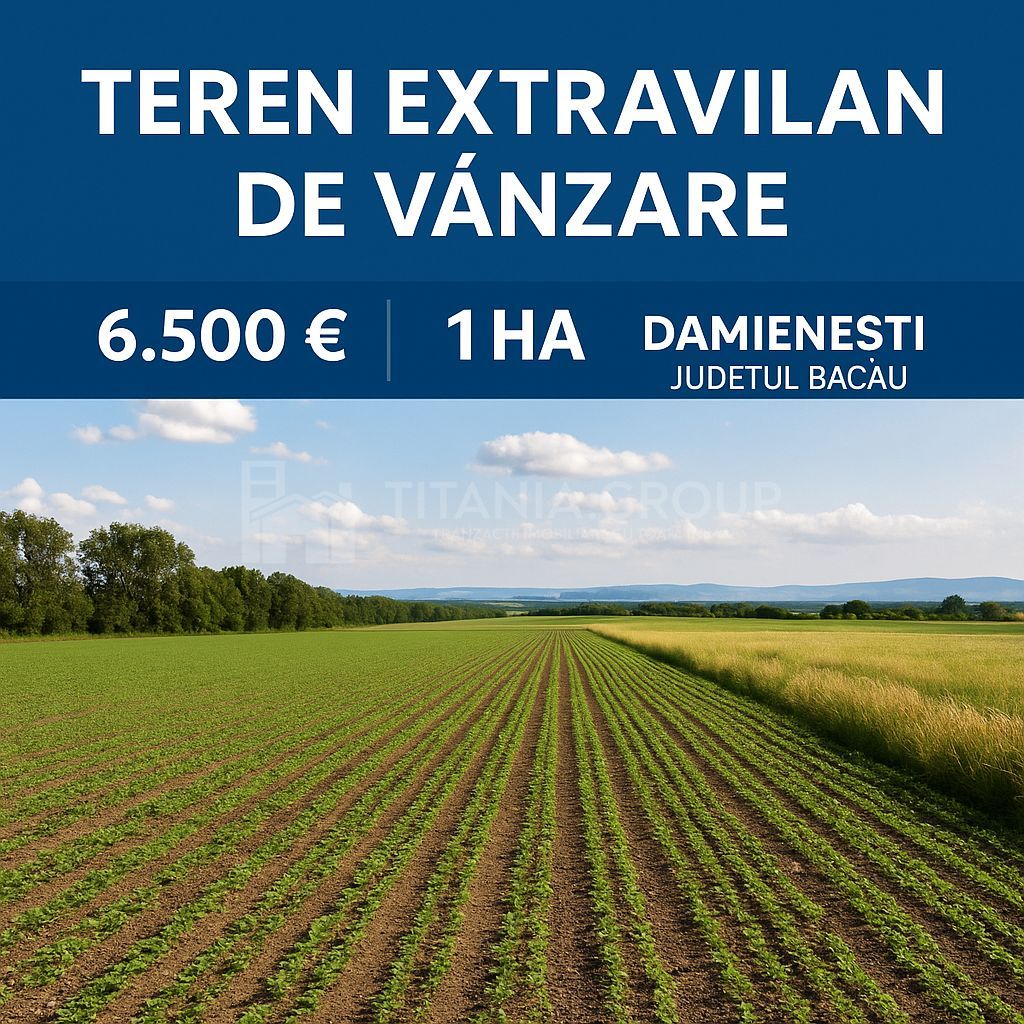 Teren extravilan agricol 1 ha de vânzare- Damienești, Bacău - Poză 1