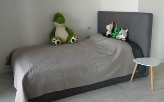 Apartament 1 camera Torontalului - Poză 4