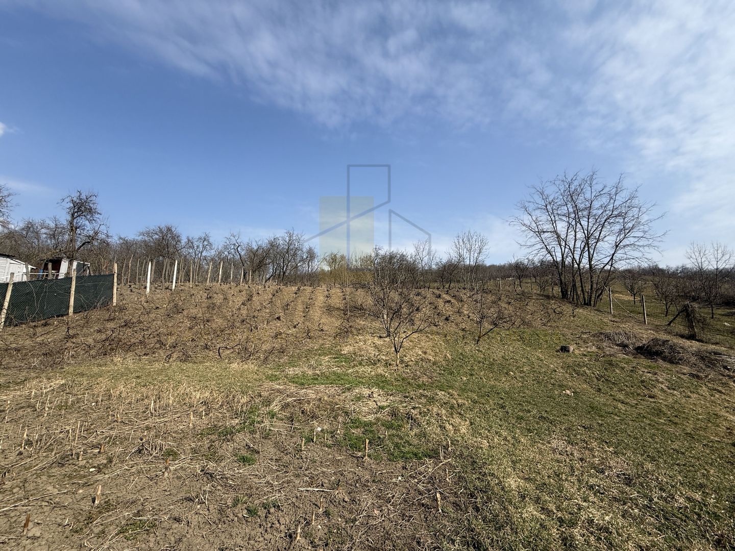 Teren intravilan Dobrovat + Casa Batraneasca - Poză 4