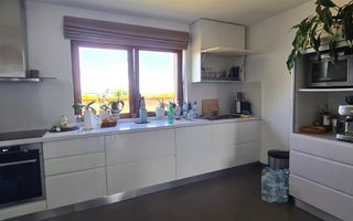 Casa individuala cu Energie Verde, garaj, terasa, 430MP Teren - Poză 5