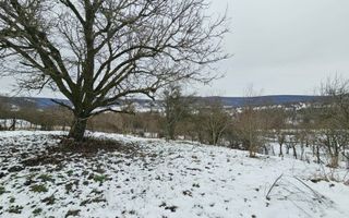 Casa Sibiu la Nucet teren 2317mp - Poză 7