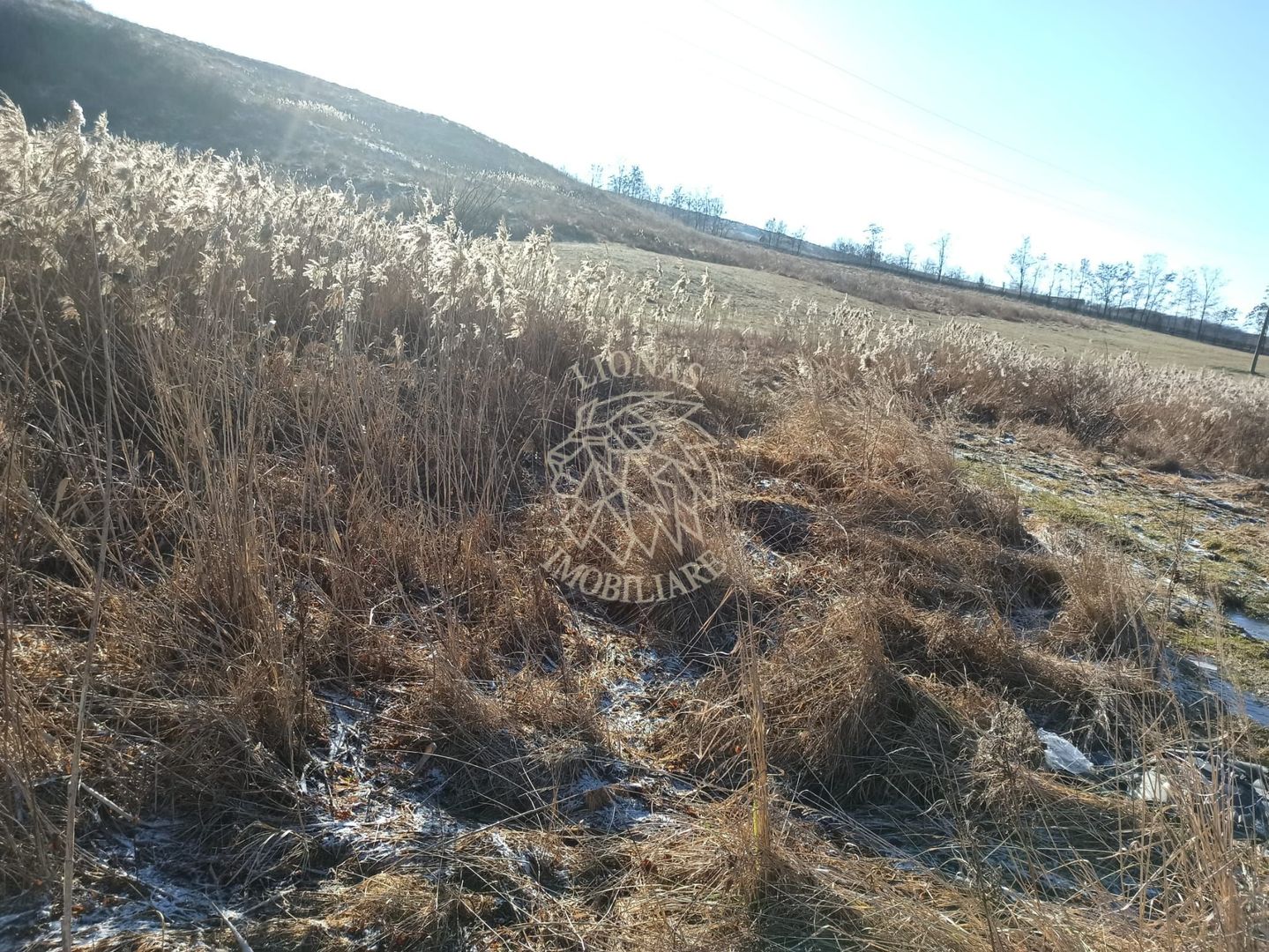 Teren intravilan 6900 mp-ideal investitie/case-Zona Zavoaie EXCLUSIV - Poză 3