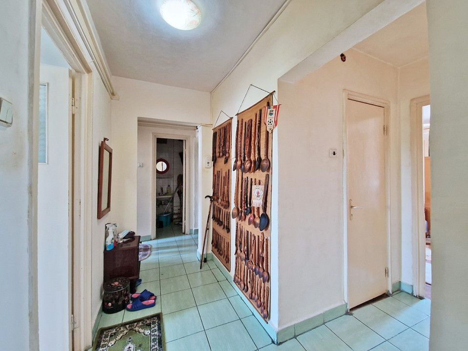 Vanzare apartament 4 camere, Eremia Grigorescu - Poză 10