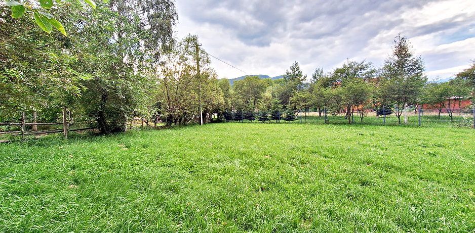 Bran Predelut teren intravilan de 2000mp, pret 27 euro/mp - Poză 6