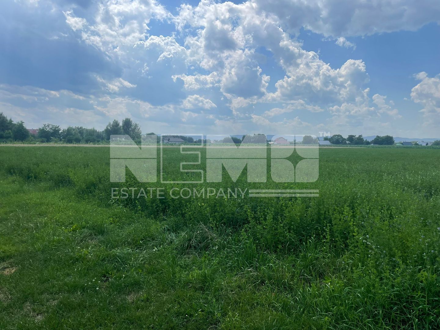 Teren intravilan | 7000 MP | Frătăuții Vechi, Suceava - Poză 1