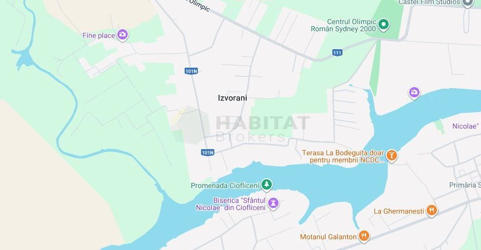 Teren intravilan 4513 mp, Izvorani, Str. Ml. Averescu,cel mai mic pret din zona - Poză 6