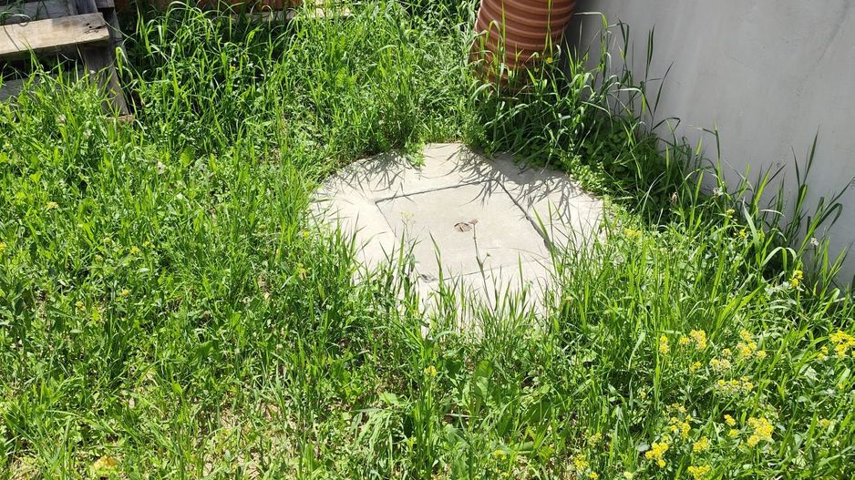 Casa parter 2 dormitoare, in Comuna Sanmartin, acces auto - VANZARE - Poză 11