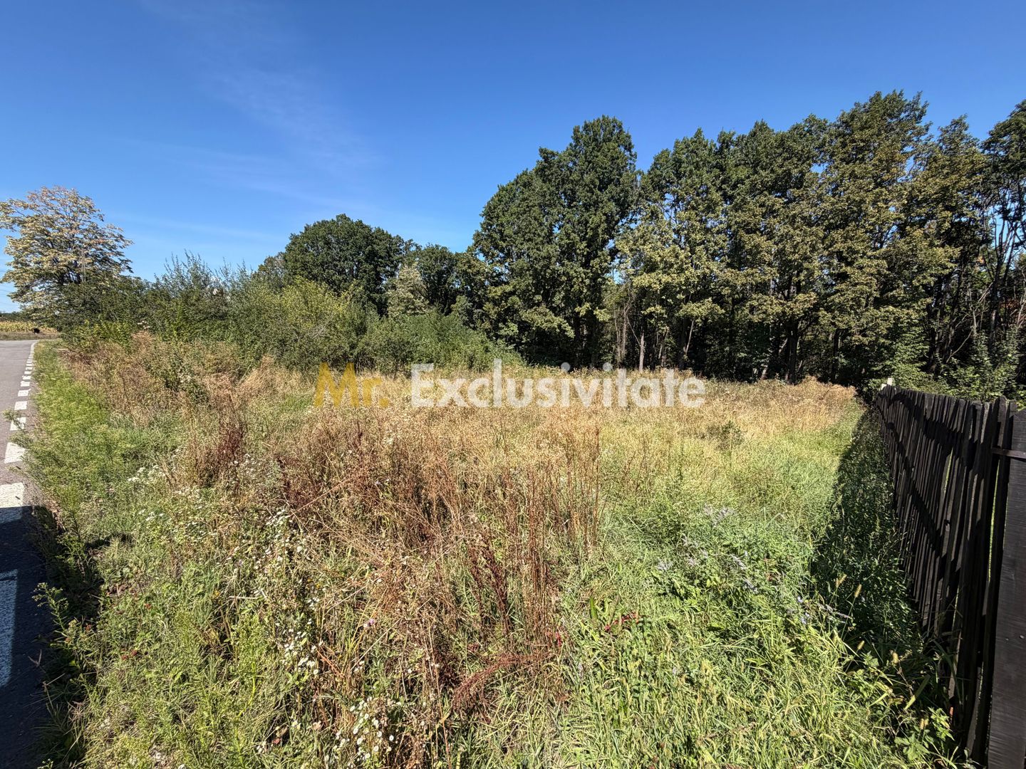 Teren intravilan 704 mp, toate utilitățile – Moșoaia - Poză 3
