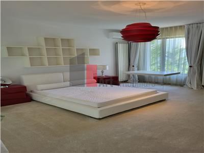 Inchiriere  Vila  Erou  Iancu de Nicolaie - Jolie Ville - Poză 7