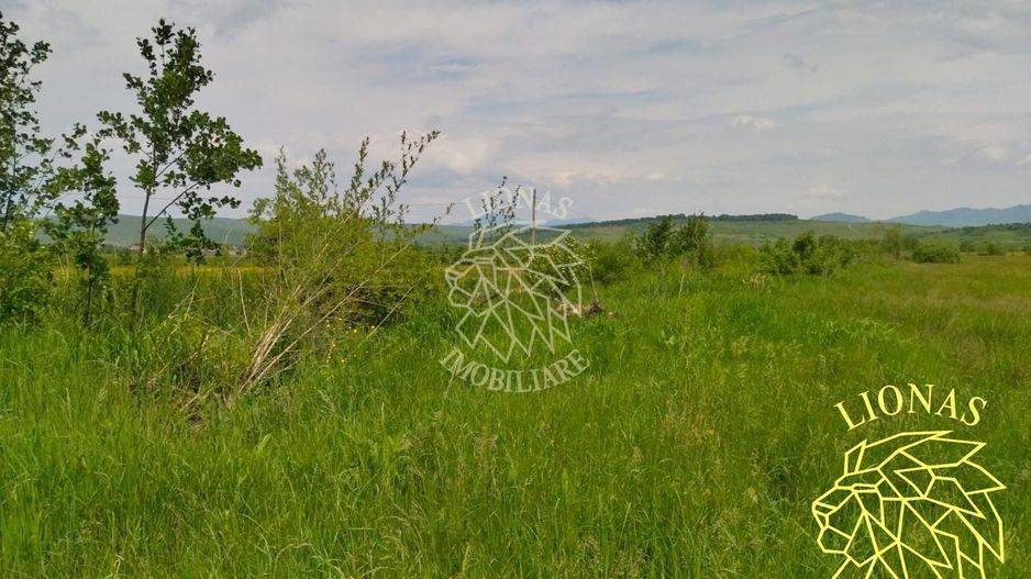 Teren 13100 mp-parcelabil-ideal cabana/agricultura-Orheiul Bistritei - Poză 2