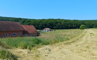 Teren intravilan - Corunca - Poză 1