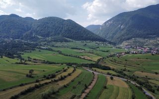 Teren de Vanzare Zarnesti | Utilitati | 3.698mp - Poză 5