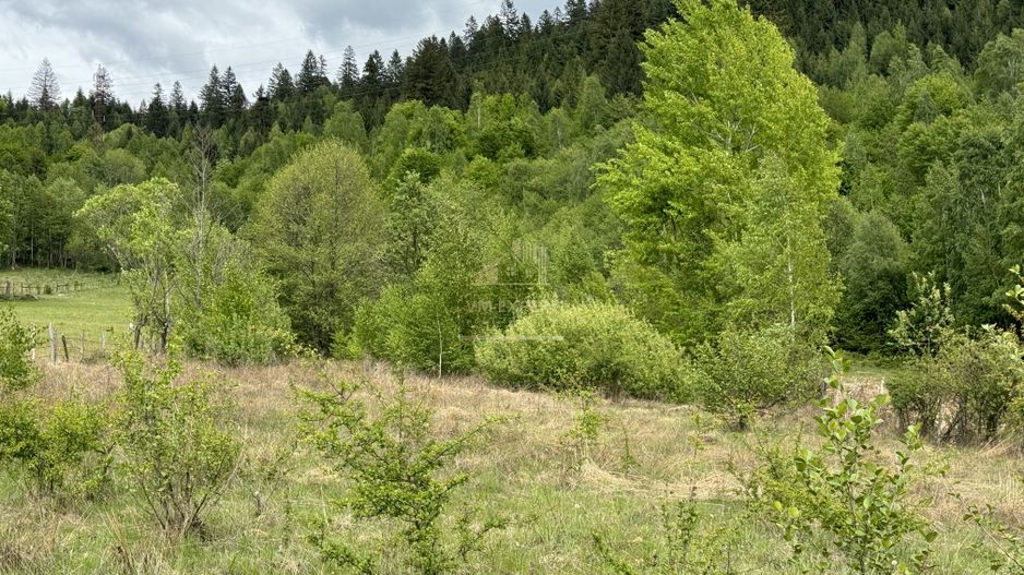 TEREN INTRAVILAN 6680 MP LERESTI ARGES - Poză 6