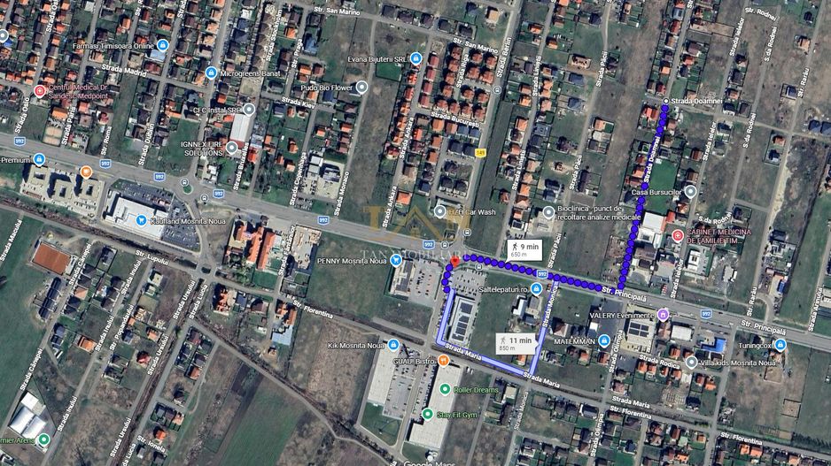 Teren Generos Cu Utilitati in Mosnita Noua Comision 0 - Poză 2