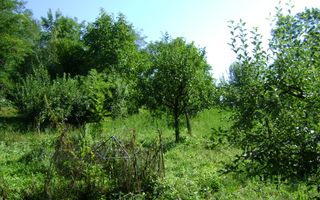 Teren de vânzare în Breaza– zonă liniștită, ideal pentru relaxare - Poză 9