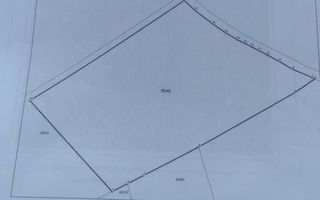 Vând teren Tăutești, Rediu: 10.000 mp extravilan + 5.000 mp intravilan - Poză 1