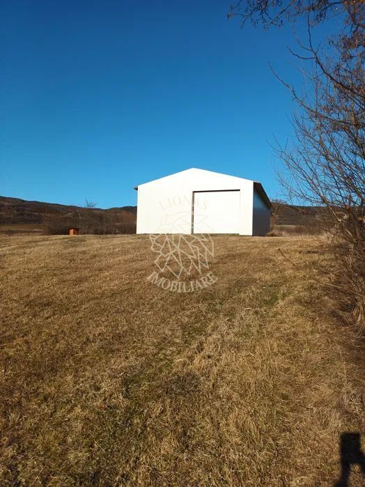 Teren 7500 mp + Hala metalica-ideal investitie-Brateni  EXCLUSIV - Poză 1