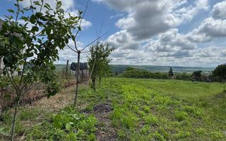 Teren intravilan 1797 mp în Dobrovăț (Ruși), lângă pădure, cu utilități și amenajări existente - Poză 4