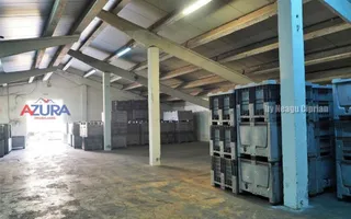 COMISION 0% - HALE Calinesti Arges - Poză 50