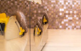 Penthouse cu 5 camere *347mp* + terasa 101mp* // Zona Herastrau - Poză 21