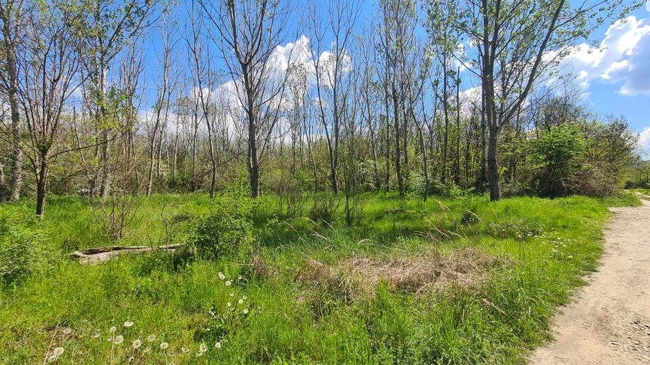 Teren de vanzare / Dem Radulescu - Poză 8