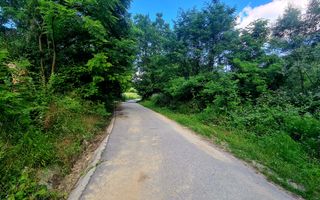Teren intravilan de vanzare - Bujoreni - Poză 3