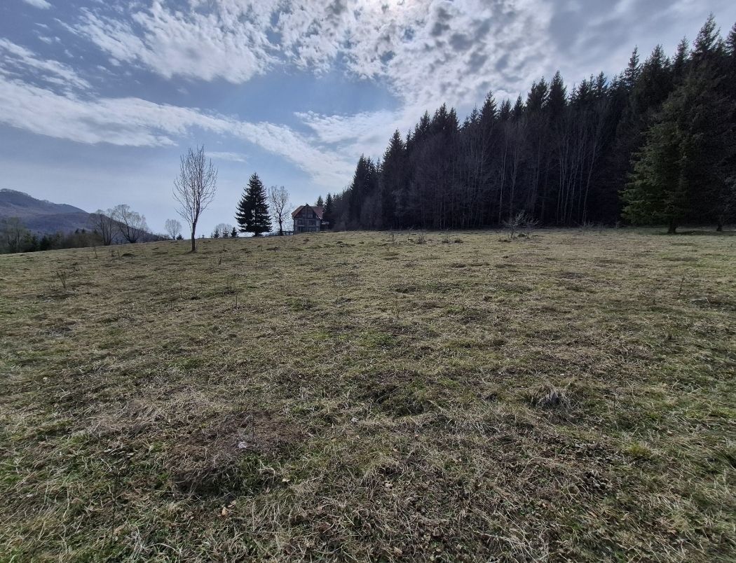 Teren intravilan la baza pădurii Valea Doftanei sat Traisteni (poduri) - Poză 7