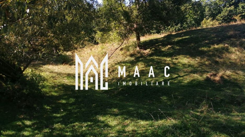 Teren Extravilan 20.000Mp I Stoenești -Vâlcea I Apă Curentă și Pădure - Poză 7