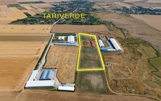 Cogealac - Tariverde – Ferma cu teren intravilan, utilitati racordate! - Poză 1