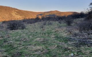 Teren 46.300 mp-zona Gușterița!! - Poză 4