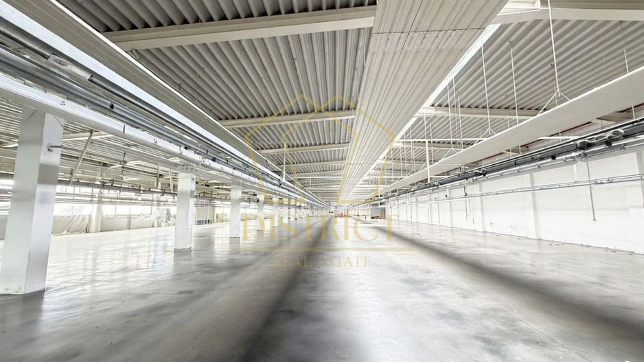 Hala industriala 4.300mp | Sagului | Timisoara | - Poză 7