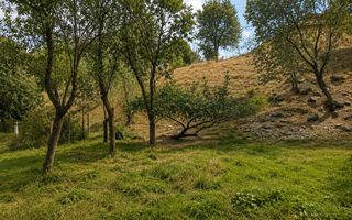 TEREN INTRAVILAN 1100 MP ÎN SĂCEL | ZONĂ PENTRU CASĂ + ACCES LA RÂU - Poză 10