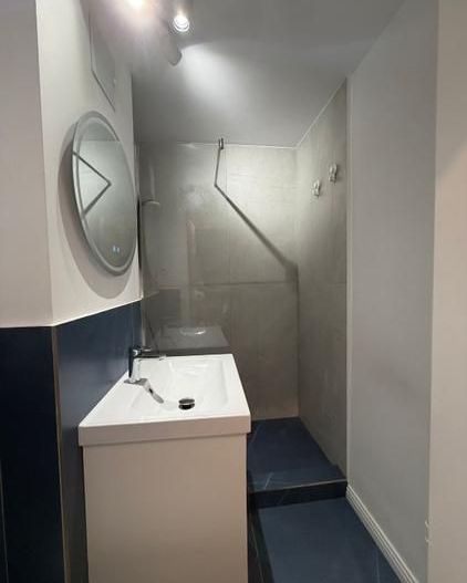 Apartament Piata Victoriei // Veronica Micle - Poză 2
