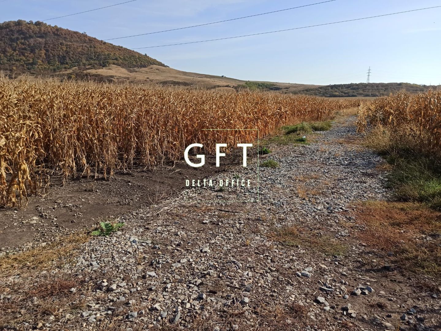 Teren intravilan 1000  mp ideal investitie Sarata - Poză 1