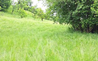 TEREN INTRAVILAN 2500 MP, BUGHEA DE JOS - Poză 3