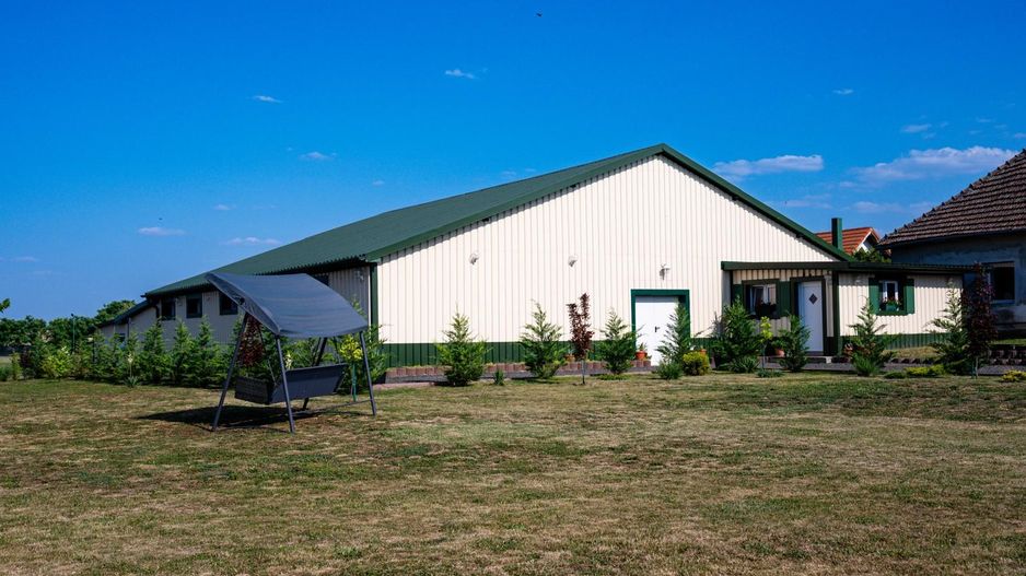 Sala de evenimente cu  piscina si foisor Biled COMISION 0 % CUMPARATOR - Poză 23