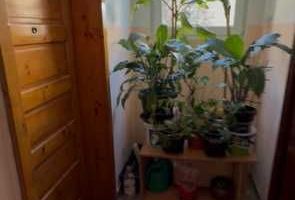 Apartament 1 Camera | 22 Mp | Intermediar |  Gheorgheni Baisoara - Poză 6