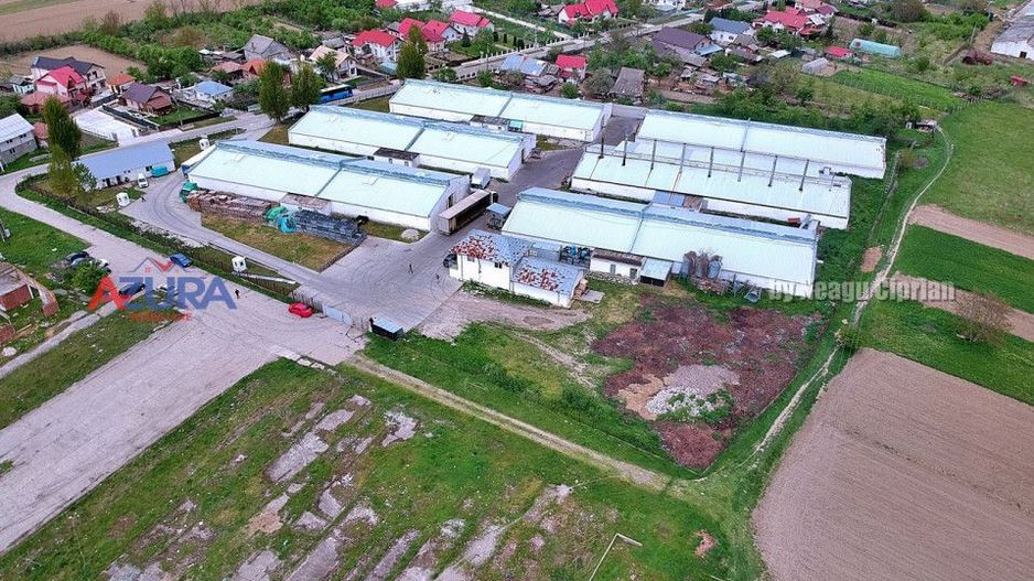 COMISION 0% - HALE Calinesti Arges - Poză 72