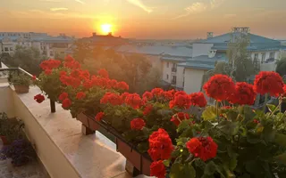 3 camere de vânzare | Cosmopolis | Terasă | 2 locuri parcare - Poză 12