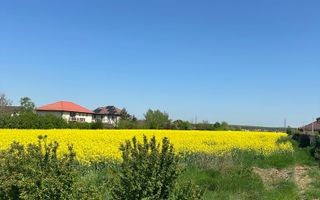 Teren intravilan 26.300 mp Saftica Balotesti-  PUZ în lucru - Poză 21