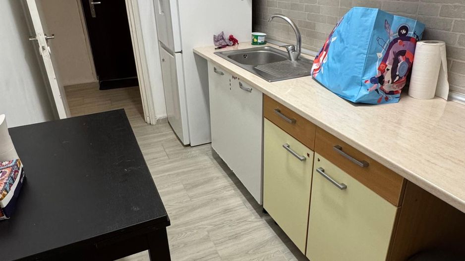 Apartament 3 camere, pet friendly, Park Lake, metrou Dristor - Poză 7
