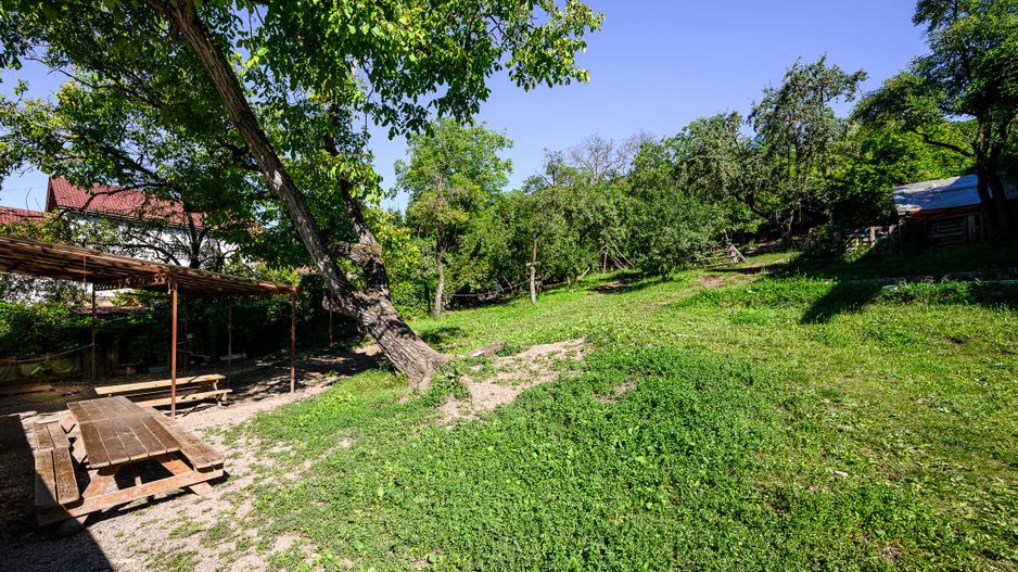 Casa 200MP cu teren de 2.050MP - Grigorescu - Str.Donath 20 - Poză 5