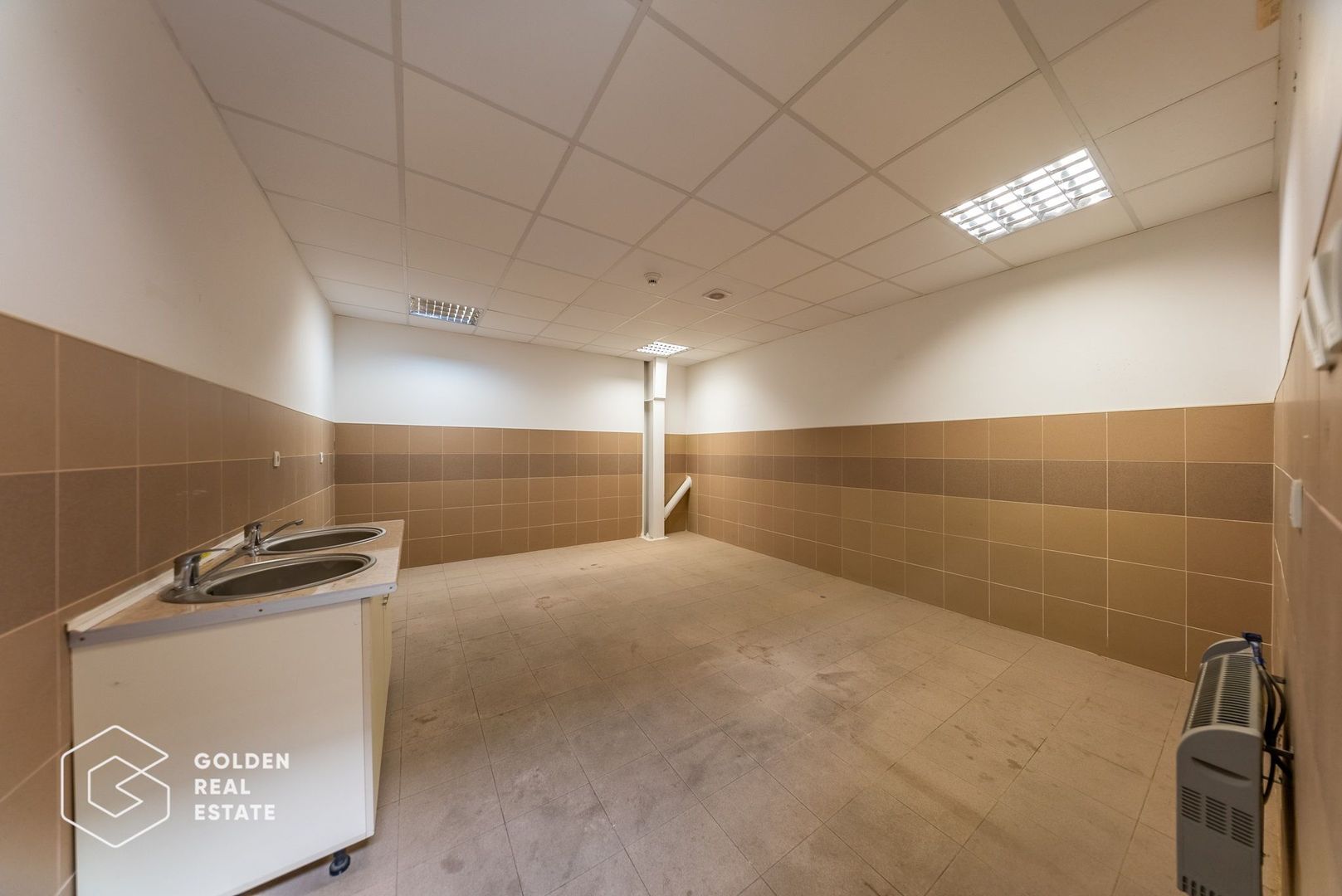 Hala industriala 856mp, Aradul Nou - Poză 9