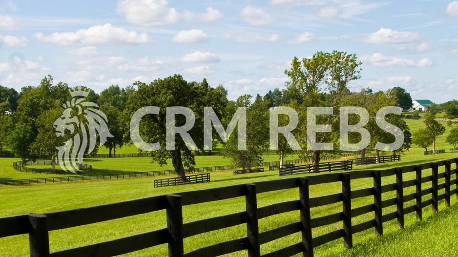 Teren cu PUZ de vanzare in Buna Ziua - Poză 1