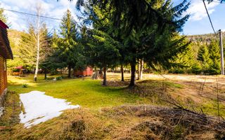 Cabane cu 10 camere Arieseni - Poză 21
