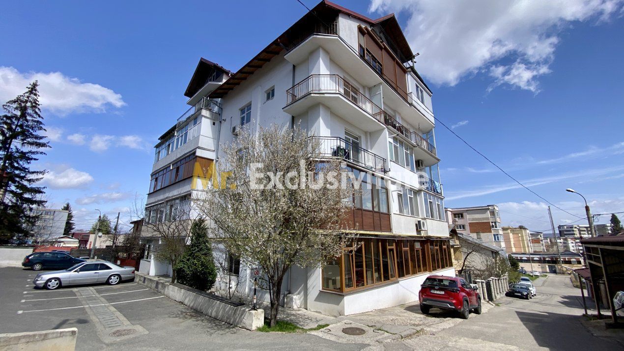 Apartament 2 camere, etaj 3, zona Teilor - Poză 7